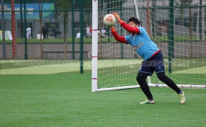 伟德BETVLCTOR网页版百度网盘“2021年足球明星抖音粉丝排行榜揭晓！谁是最受欢迎的足球运动员？”