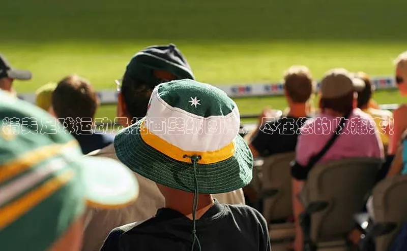 bevictor伟德官网登录百度取证精美足球运动员插画壁纸图片，尽在您的收藏夹！