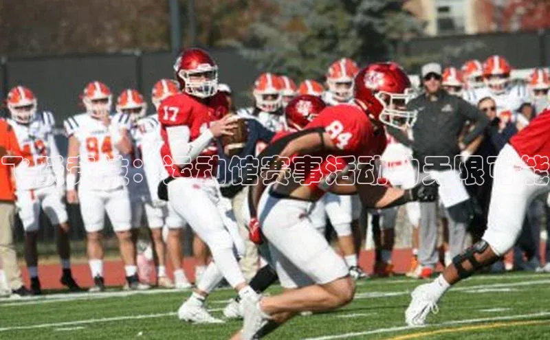 飞跃竞技：运动馆赛事活动的无限可能