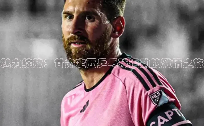 魅力绽放：甘肃定西乒乓球运动的激情之旅