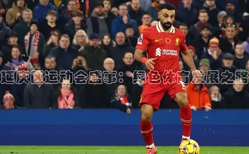 延庆区运动会盛事：绿色体育发展之路