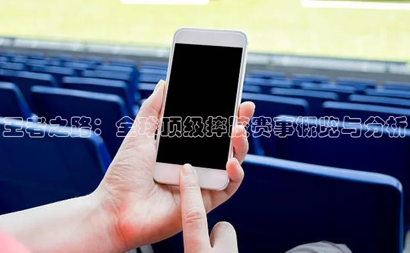 王者之路：全球顶级摔跤赛事概览与分析