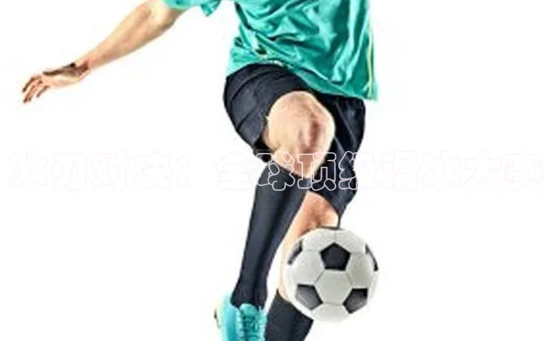 冰刃对决：全球顶级滑冰大赛