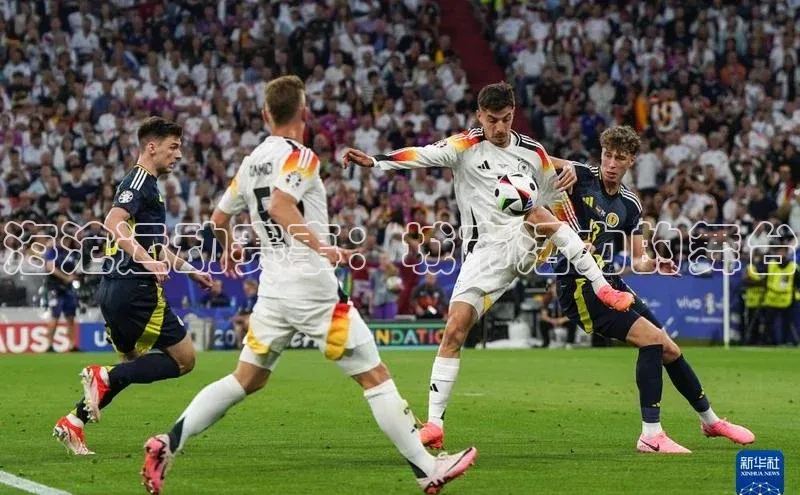 海沧运动赛事：城市活力的舞台