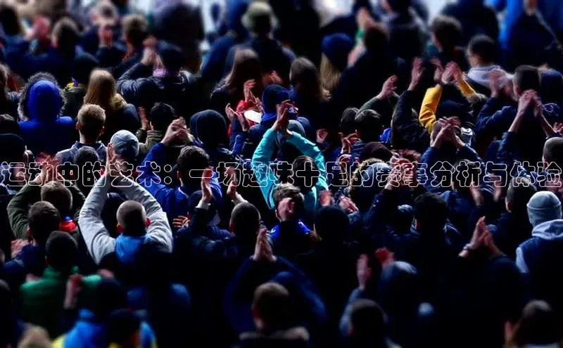 运动中的艺术：一场趣味十足的赛事分析与体验