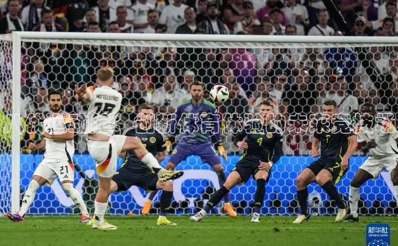 八伏运动舱：创新体育体验的未来竞技场