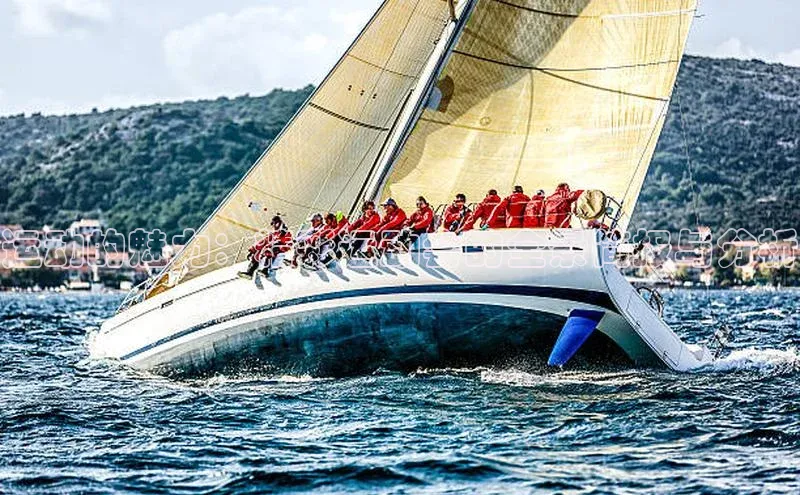 运动的魅力：精彩运动会的全景简报与分析