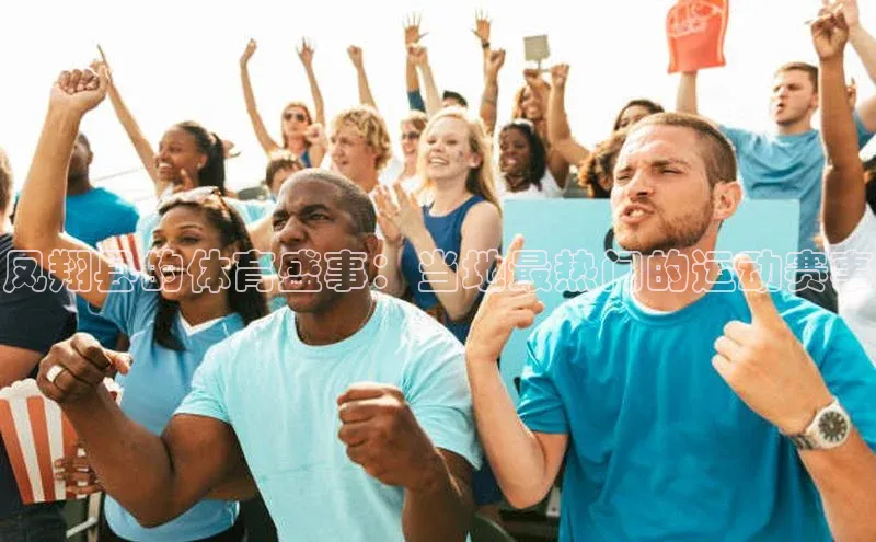 凤翔县的体育盛事：当地最热门的运动赛事