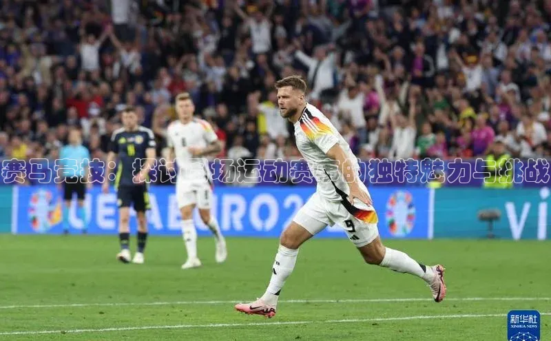 赛马竞技：探讨围场运动赛事的独特魅力与挑战