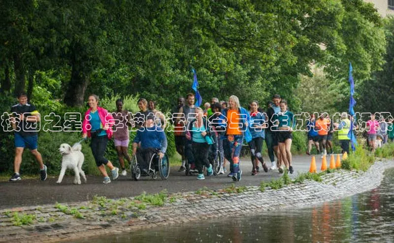 校园之星：学校的运动会与学生成长的桥梁