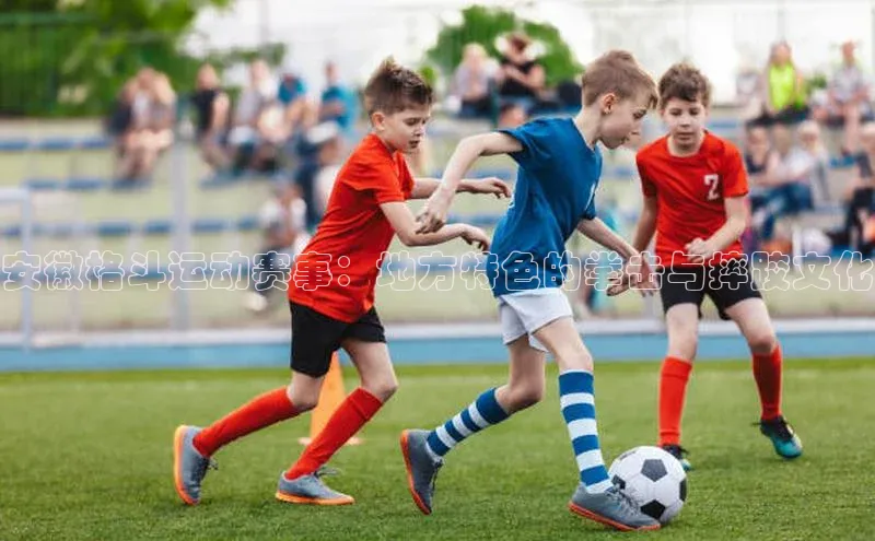 安徽格斗运动赛事：地方特色的拳击与摔跤文化