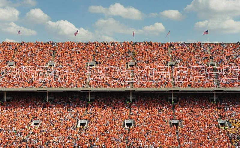 荣耀承诺：赛事运动员庄严宣誓