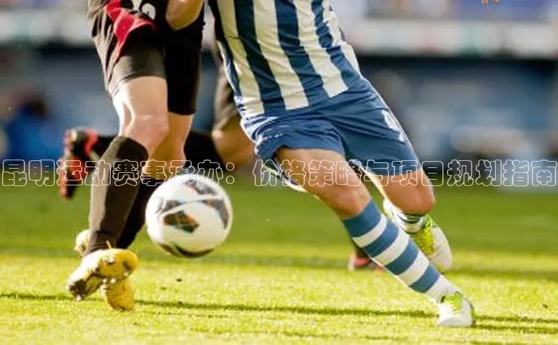 昆明运动赛事承办：价格策略与项目规划指南