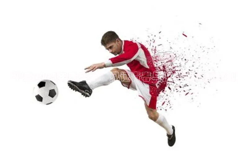 平度2024年度盛事：见证青春与挑战的荣耀时刻