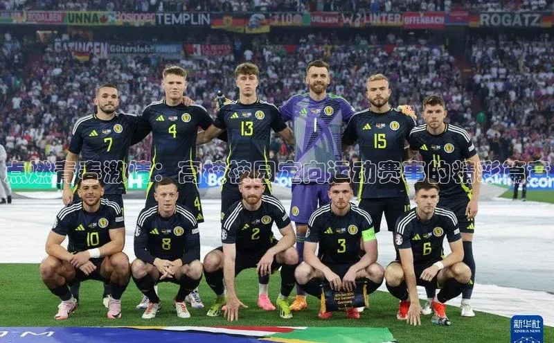 BETVlCTOR最新地址