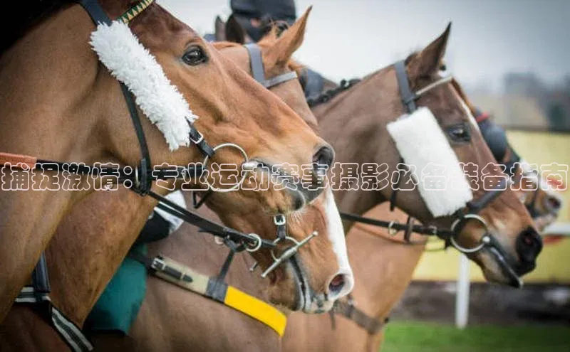伟德网页版下载