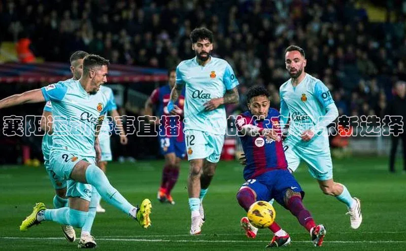 襄阳运动赛事直播：您的体育娱乐新选择